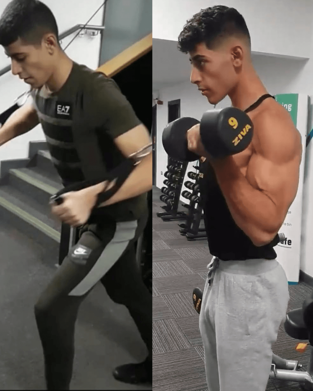 Client strength and physique progress