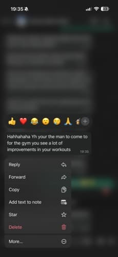 Client WhatsApp testimonial 3